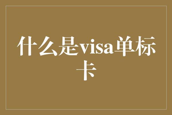 什么是visa单标卡