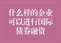 什么样的企业可以进行国际债券融资：构建全球资本链接的桥梁