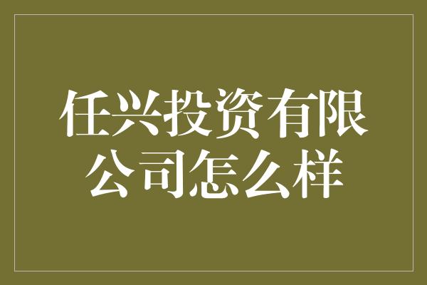 任兴投资有限公司怎么样