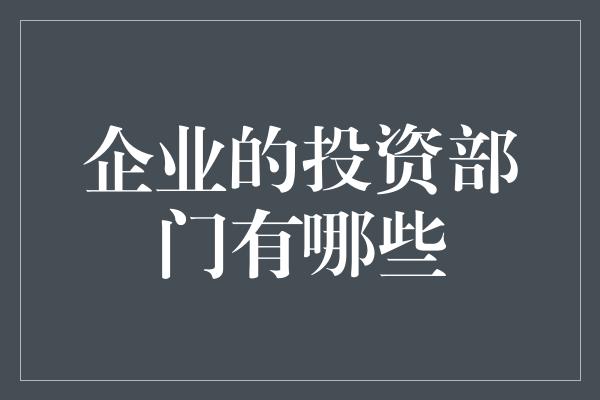 企业的投资部门有哪些