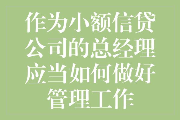 作为小额信贷公司的总经理应当如何做好管理工作