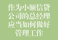 小额信贷公司总经理的管理策略：构建可持续的普惠金融体系