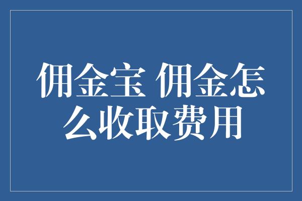 佣金宝 佣金怎么收取费用