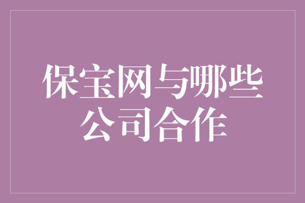 保宝网与哪些公司合作