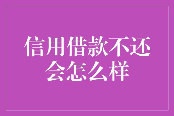 信用借款不还会怎么样