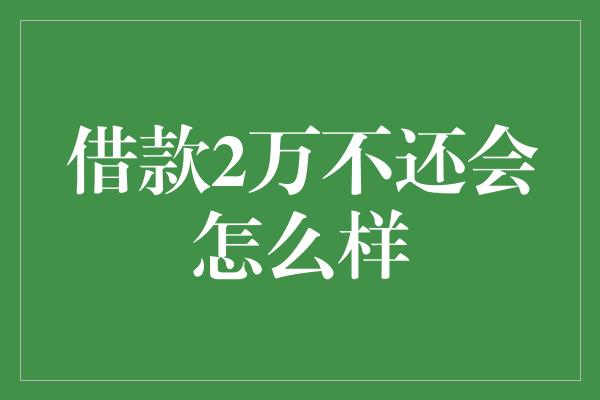 借款2万不还会怎么样