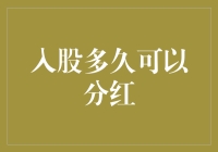 从入股到分红：一场关于时间、爱情与投资的冒险之旅