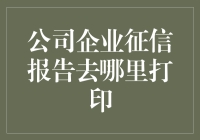 公司企业征信报告：获取途径与打印指南