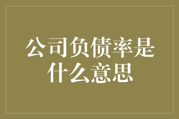 公司负债率是什么意思