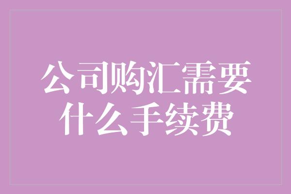 公司购汇需要什么手续费