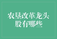 农垦改革龙头股：探索中国现代农业的未来方向