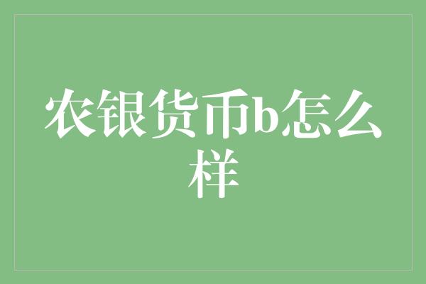 农银货币b怎么样