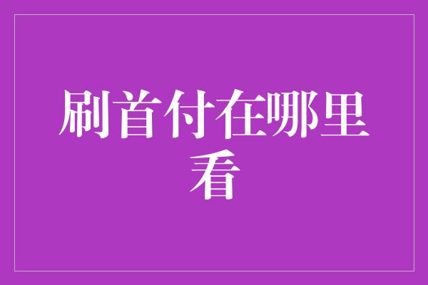 刷首付在哪里看