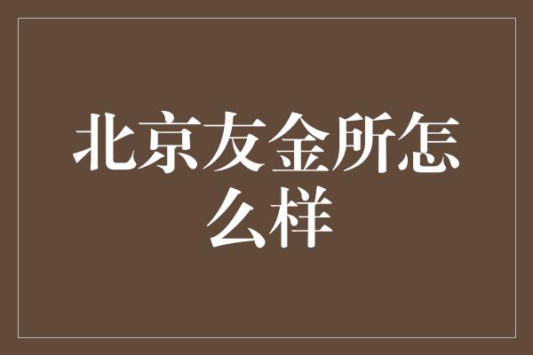 北京友金所怎么样