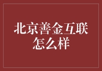 北京善金互联：从坑里爬出来的蚂蚁如何变巨象？