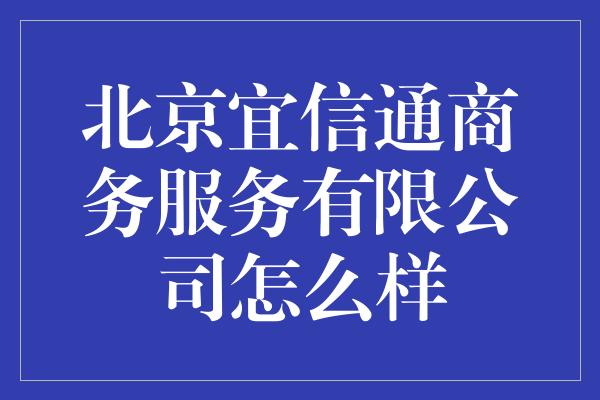 北京宜信通商务服务有限公司怎么样