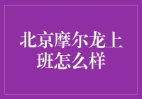 北京摩尔龙公司工作环境深度解析：职场生活的真实体验