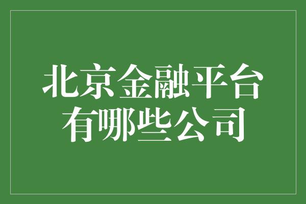 北京金融平台有哪些公司