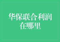 华保联合利润：以科技驱动创新，成就未来保险行业的盈利增长点