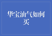 华宝油气的购买指南：小白也能轻松上手的投资技巧！