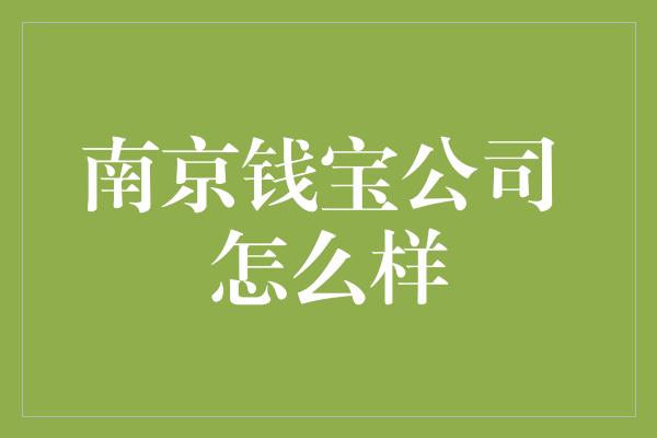 南京钱宝公司 怎么样