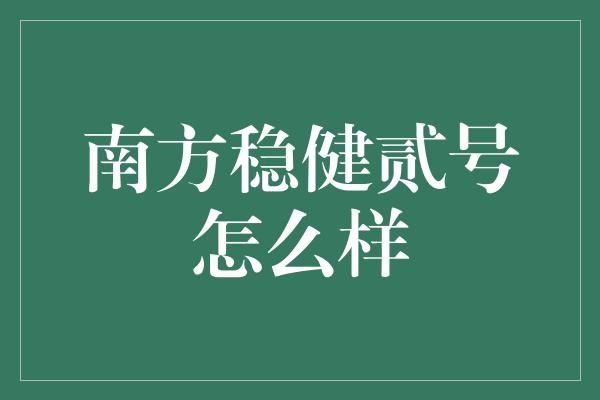 南方稳健贰号怎么样