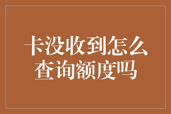 卡没收到怎么查询额度吗