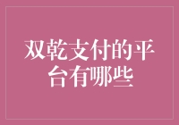 双乾支付：构建多元化支付解决方案的桥梁