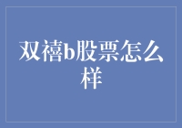 双禧B股票：实现稳健收益的投资良品？