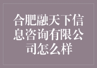 合肥融天下信息咨询有限公司: 高效专业的财务顾问服务