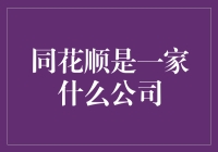 同花顺：金融科技的领航者