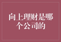 从向上理财看互联网金融的崛起与监管：以宜人贷为典型案例分析