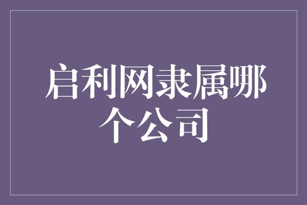 启利网隶属哪个公司