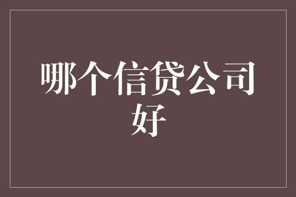 哪个信贷公司好