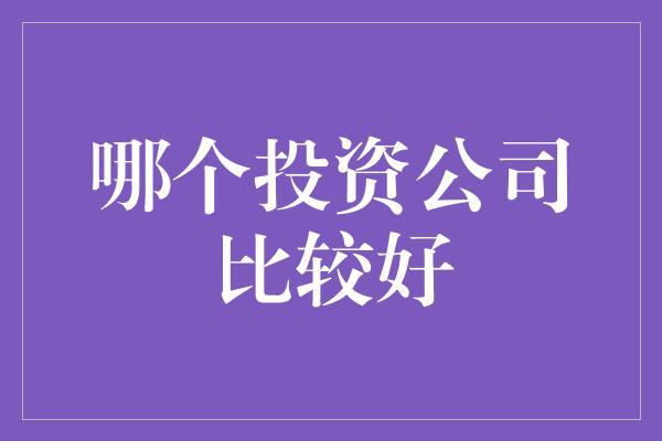 哪个投资公司比较好