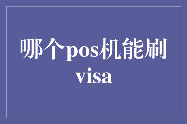 哪个pos机能刷visa