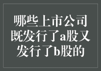 上市公司中的AB面：那些发行了A股和B股的神秘公司