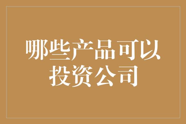 哪些产品可以投资公司