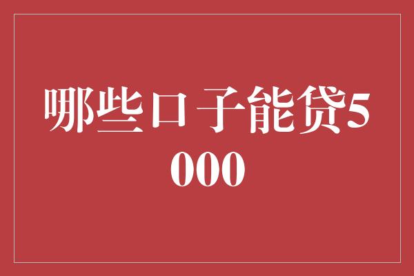 哪些口子能贷5000