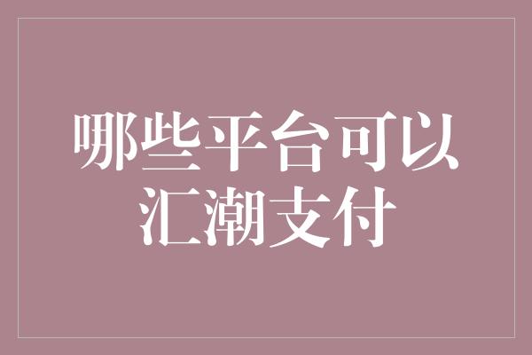 哪些平台可以汇潮支付