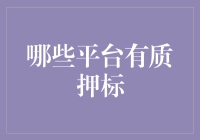 质押标的：哪些平台支持质押融资？