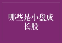 哪些是具有潜力的小盘成长股：发现未来的投资机会