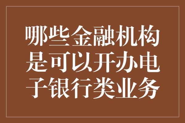 哪些金融机构是可以开办电子银行类业务