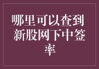 如何查询新股网下中签率：步骤解析与专业建议