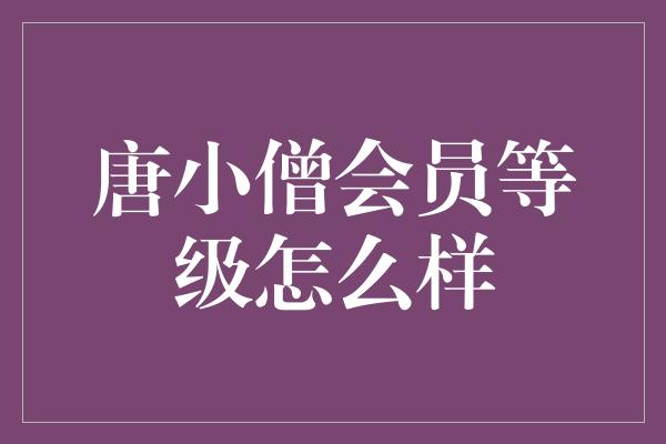 唐小僧会员等级怎么样