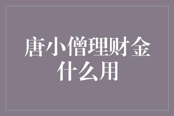 唐小僧理财金什么用