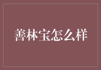 善林宝投资平台的潜力与风险：投资人需要了解的真相