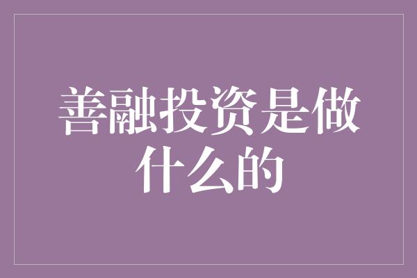 善融投资是做什么的