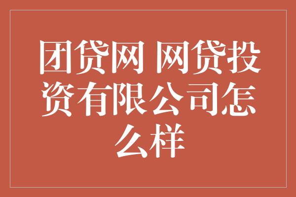 团贷网 网贷投资有限公司怎么样