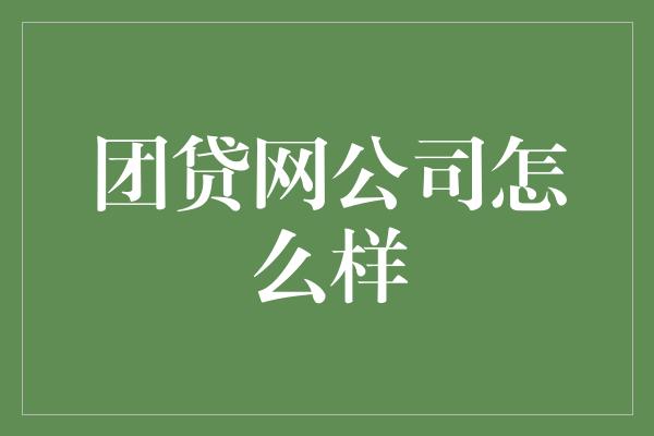 团贷网公司怎么样